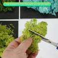 thumbnail image 3 of Uxcell Preserved Reindeer Moss 7oz Fake Moss for Crafts Artificial Dried Moss for Decoration Terrariums Blue Green, 3 of 7