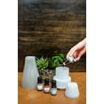 thumbnail image 2 of Homedics Lavender 15ml Essential Oil 6 Pack, 2 of 3