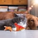 thumbnail image 5 of Beewarm Flopping Fish Cat Toy - 4 tipos de peces para elegir - Motion Kitten Toy, Plush Interactive Cat Toys, Fun Toy para Cat Exercise Red Carp brillar Hogar, 5 of 5