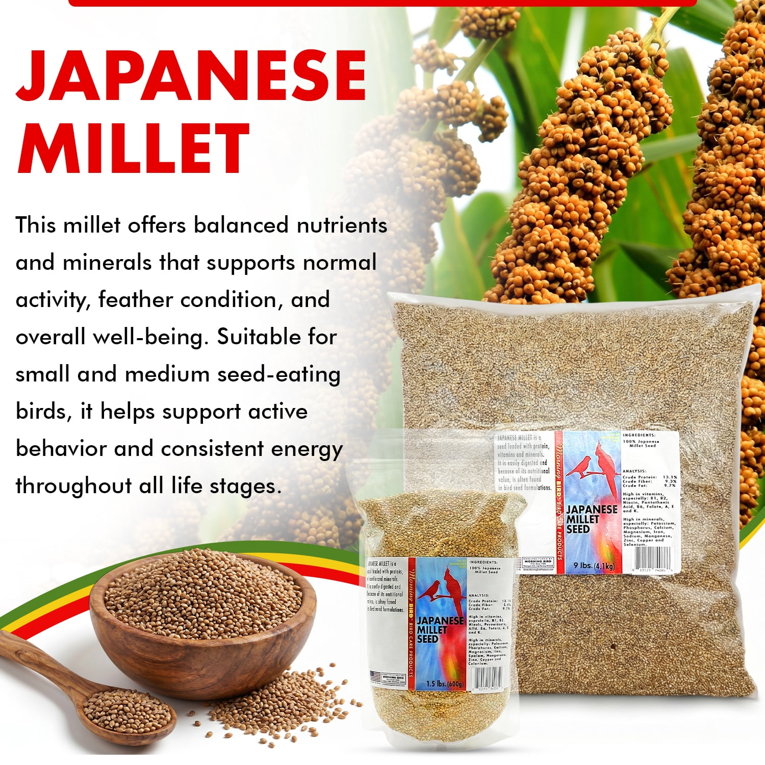 Morning Bird Japanese Millet Seed 4.5 lbs (3-Pack, 1.5 lbs Each) - Bird Food for Finches, Canaries & Parakeets – Natural Millet Seed for Daily Nutrition