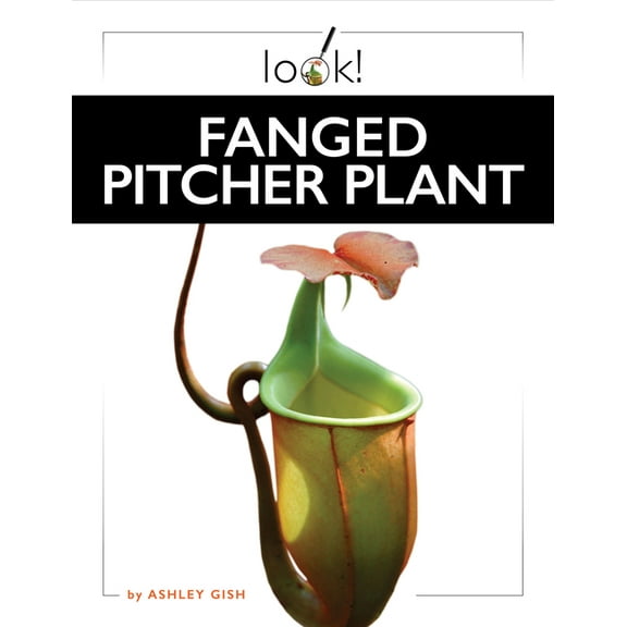 Fanged Pitcher Plant, (Paperback)