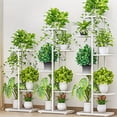 thumbnail image 2 of 1-Pack Elegant 6/7/8-Tier Metal Plant Stand, Multi-Level Flower Pot Organizer - Versatile Indoor/Outdoor Home and Garden Decor, 2 of 25
