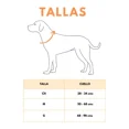 thumbnail image 4 of Juego De Collar Ajustable Y Correa Reflejante Para Perro Med, 4 of 6