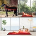 thumbnail image 4 of Red Light Therapy Mat for Relaxation,1260LED Red Light Therapy for Body 660nm/850nm Full Body Blanket, Adjustable Brightness and Timer, Great Gift for Elderly, Family, Fitness, Health Enthusiasts, 4 of 8