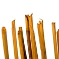 thumbnail image 3 of Vickerman 40" Aspen Gold Elephant Reed, 10 oz Bundle, Dried, 3 of 4