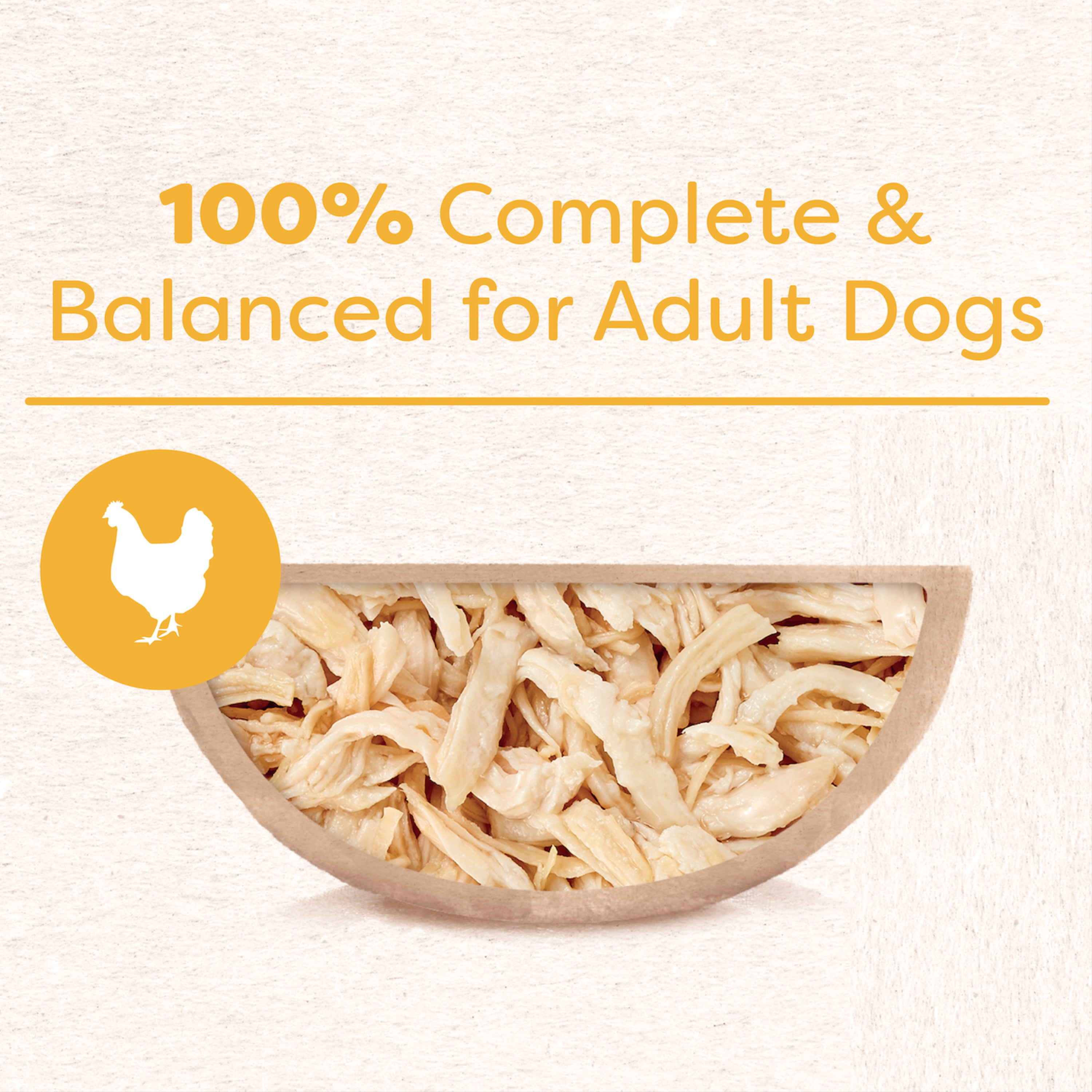 (12 pack) Cesar Wholesome Bowls Chicken Recipe Broth Wet Dog Food, 3 Oz Bowl