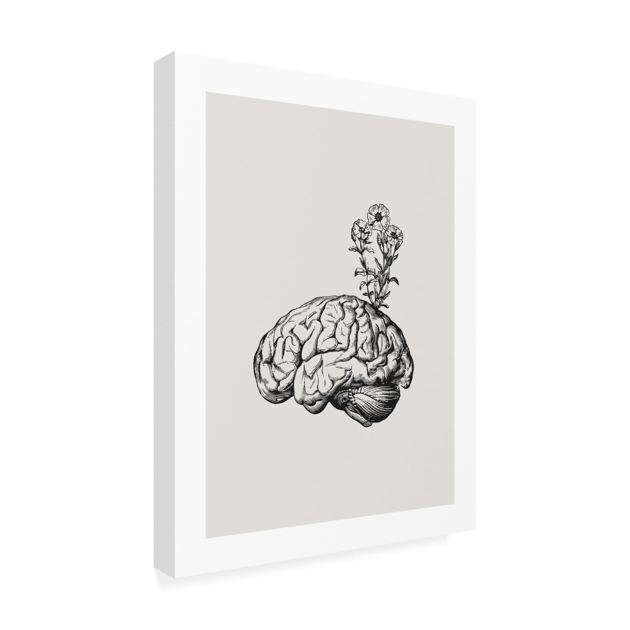 Trademark Fine Art Beth Cai Brain Bloom Canvas Wall Art