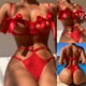 thumbnail image 2 of Lencería de mujer corsé encaje sin alambre Racy muselina ropa de dormir ropa interior Tops + calzoncillos Fridja  nalpqowj40676, 2 of 6