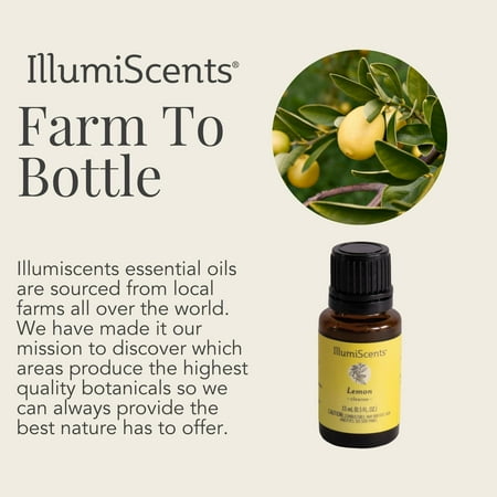 IllumiScents Rest & Relax Essentials Combo 3 Pack, 10 mL