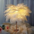 thumbnail image 6 of ionze 30-35cm Large Ostrich Feathers for Vase, Floral Arrangement, Wedding Party Centerpieces Home Decorations (A), 6 of 6