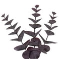 thumbnail image 2 of Vickerman 24" Artificial Burgundy Spiral Eucalyptus Wreath, 2 of 5