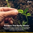 thumbnail image 4 of Premier Research Labs Deltanol - Antioxidant, Bone & Cardiovascular Support - Supports CoQ10 & Cholesterol - Delta-Tocotrienol Complex - No Added Stearates - 60 Plant-Source Capsules, 4 of 6