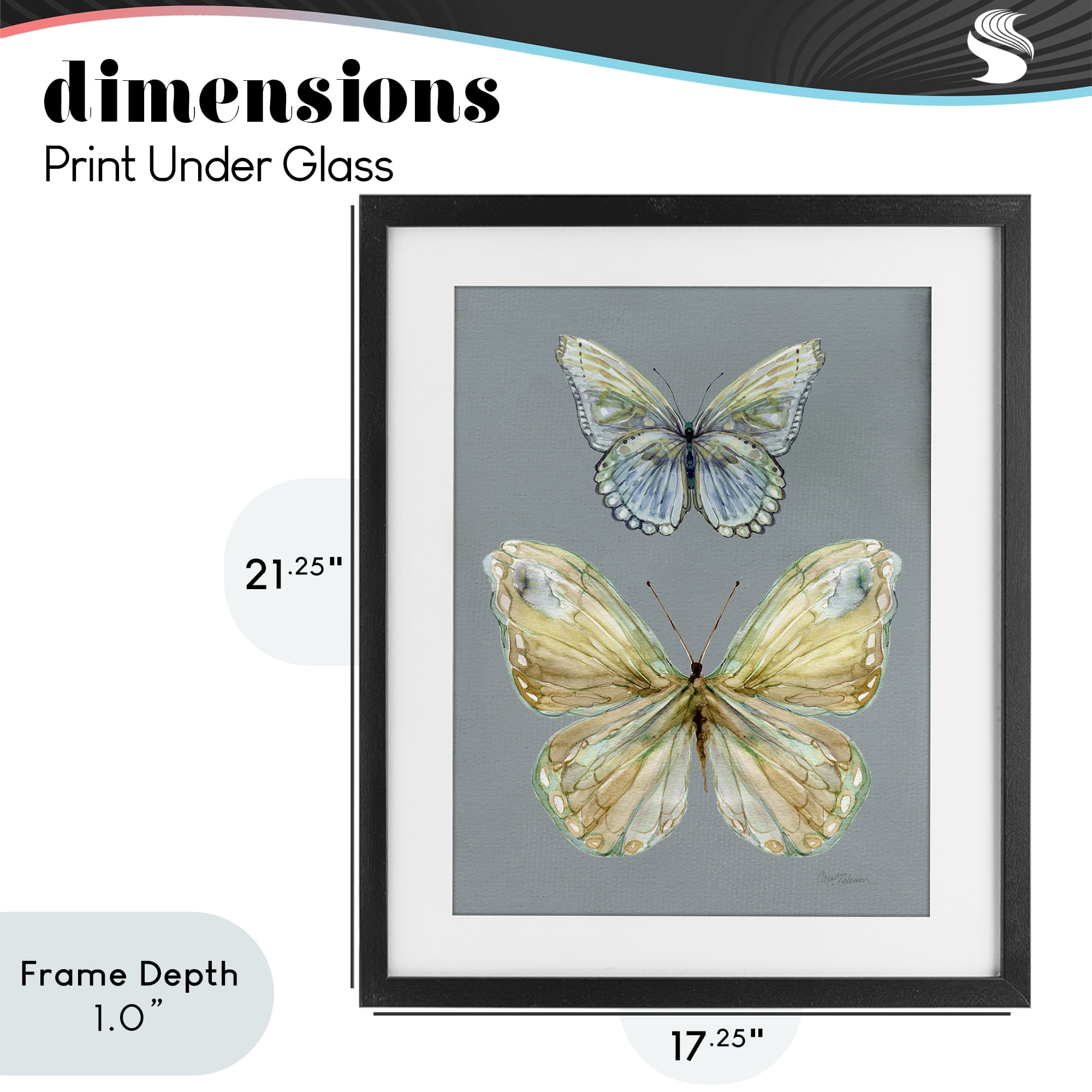 Stupell Industries Delicate Butterflies on Slate Black Framed Print Under Glass, design by Carol Robinson