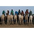 thumbnail image 2 of Inazio Kuesta, Joxe 32x22 White Modern Wood Framed Museum Art Print Titled - Watching The Gerewol Festival From The Camels - Niger, 2 of 4