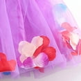 thumbnail image 6 of Ugoldhm Little Girls Mesh Skirt Elastic Waist Layered Summer Dance Skirts Size 3-8 Years, 6 of 6