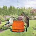 thumbnail image 4 of Comida para Aves Kaytee Hot Pepper Suet Dough Stak 411 g, 4 of 6