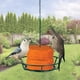 thumbnail image 4 of Comida para Aves Kaytee Hot Pepper Suet Dough Stak 411 g, 4 of 6