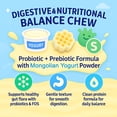 thumbnail image 6 of Fabrechew Mongolian Yogurt CHEW with Probiotics & Prebiotics, Soft Honeycomb Dental Care (7.05 oz, 10 Count), 6 of 7