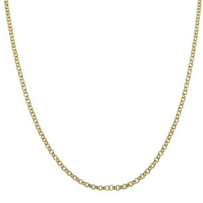 20 in. Gold Filled Chain