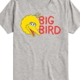 thumbnail image 3 of Sesame Street - Big Bird - Toddler and Youth Short Sleeve Graphic T-Shirt, 3 of 5