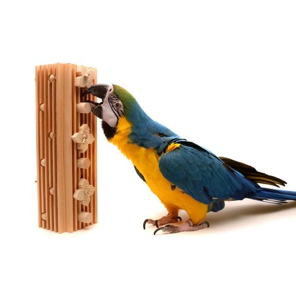 Activity Block - Large Parrot Toy