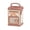 Pink, variant on Green Plastic Electronic Piggy Bank For Children Atm Password Safe Box With Fingerprint Sensor Large Capacity Savings Toy Green Color