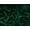 Bottle Green, variant on Minerva Velvet Stretch Knit Fabric Rust - per yard