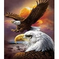 thumbnail image 1 of Two Eagles Paint by Numbers, 1 of 2