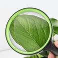 thumbnail image 4 of Dual-Size Magnifying Glass with Silicone Frame, Shock-Absorbing Protection for Extended Comfortable Viewing, 4 of 8