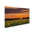 thumbnail image 2 of Trademark Fine Art 'Sunflower Sunset' Canvas Art by Michael Blanchette Photography, 2 of 3