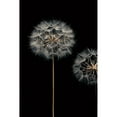 thumbnail image 3 of Frank, Assaf 11x14 Black Modern Framed Museum Art Print Titled - Make A Wish I, 3 of 5