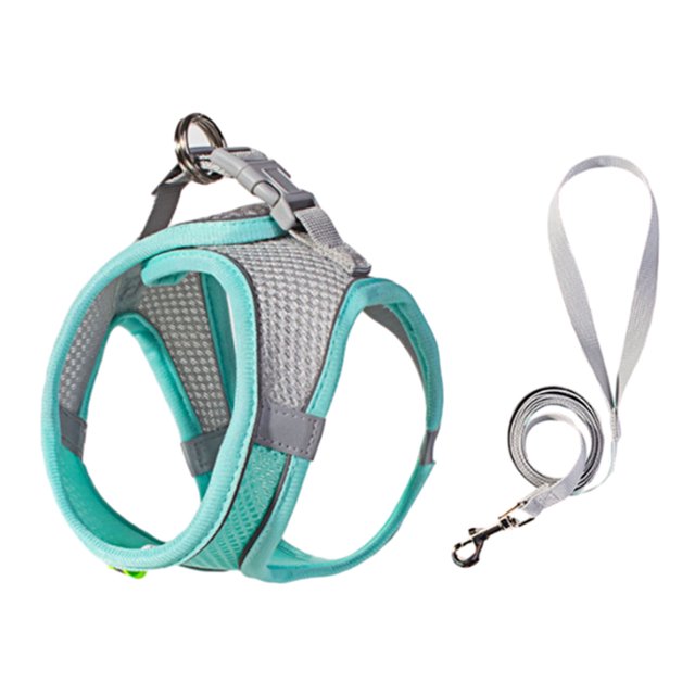 Visland Harnais-gilet pour Animaux avec Laisse, Maille Respirante, Réfléchissant, à Enfiler, Boucle Réglable, Anti-Traction, Anti-Fuite, Harnais de Poitrine pour Petit Chien, Chiot, Chat, Fournitures pour Animaux