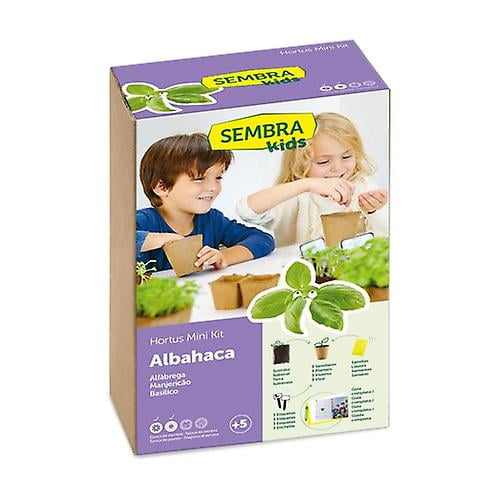 Basil seeds 1 unit--