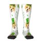 thumbnail image 1 of Balery happy dog. St. Patricks Day Calcetines novedosos Calcetines deportivos Calcetines hasta la rodilla Calcetines de algodón Calcetines originales y geniales, 1 of 6