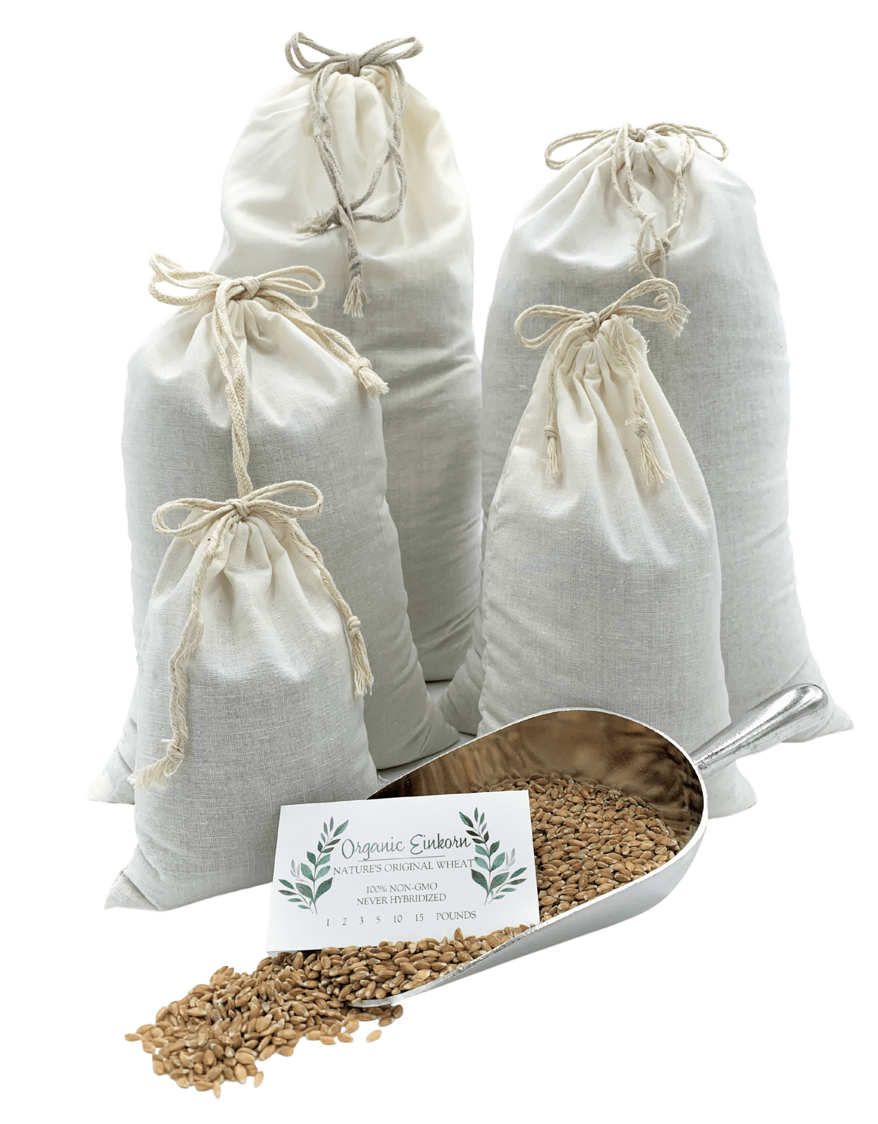 Organic Einkorn Farro Berries also available as fresh ground flour