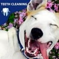 thumbnail image 5 of Natural 5-8" Bully Sticks for Small & Large Dogs-Long Lasting, Low Odor Dental Chew Treat-100% Real Beef - 8 oz. Bag-10 Sticks, 5 of 7