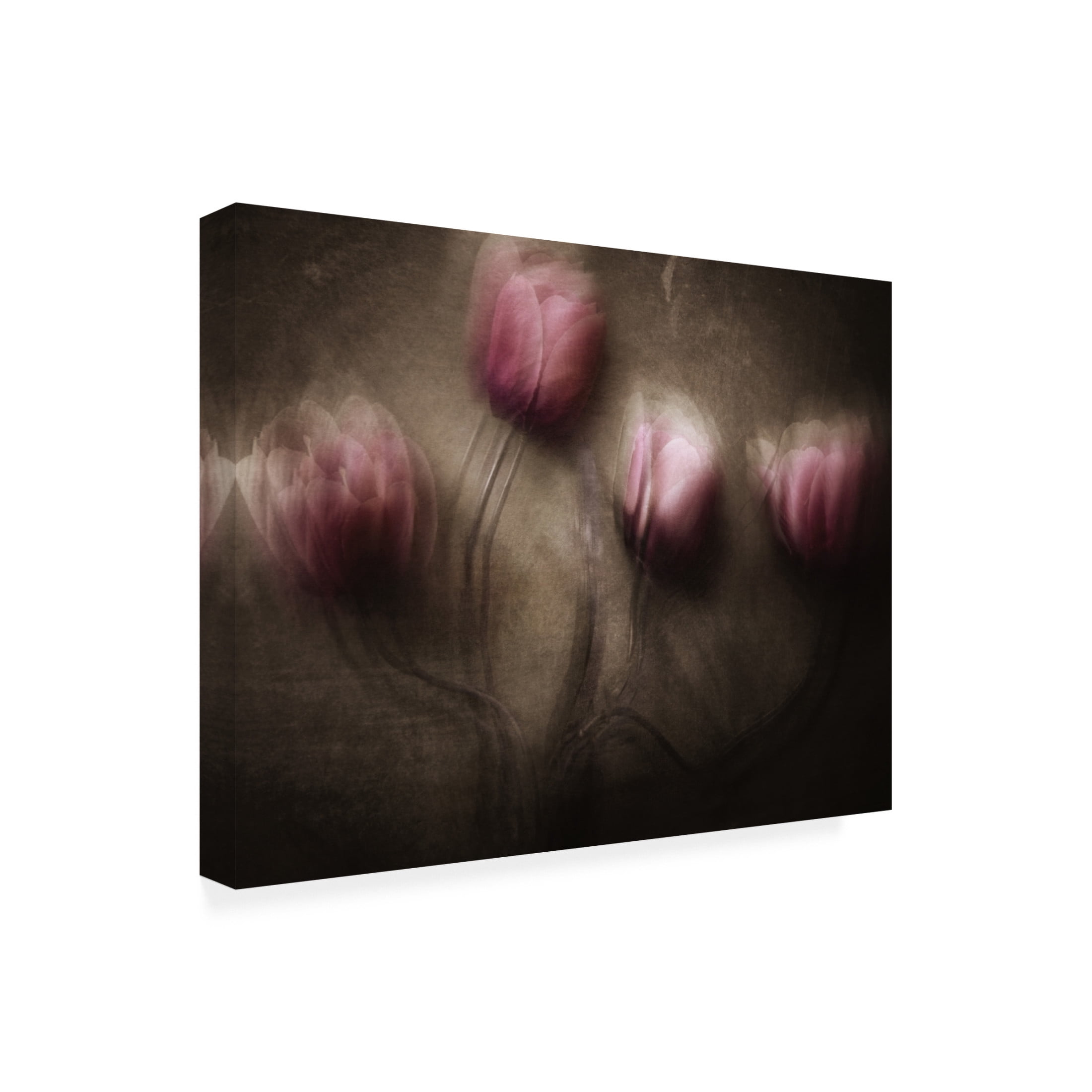 Canvas Wall Art - Kahar Lagaa 'Fantastic Four' Wall Art for Living Room, Bedroom, or Office D?cor by Trademark Fine Art - 32 x 24 Inches