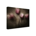 thumbnail image 3 of Canvas Wall Art - Kahar Lagaa 'Fantastic Four' Wall Art for Living Room, Bedroom, or Office D?cor by Trademark Fine Art - 19 x 14 Inches, 3 of 4