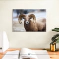 thumbnail image 3 of Elephant Stock Bighorn Sheep Wall Art - Horizontal Canvas Wall Art - Living Room Wall Decor - Animal Canvas - Brown And White Decor - 12" x 8", 3 of 8