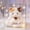 A, variant on Cute Mini Tabletop Doll Figurine Stuffed Plush Toy for Desktop Decor, Kids Play, Car & Bedroom Ornament, Lovely Claw Machine Prize & Gift for Children,A