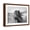 Brown Frame, variant on Art.com Fierce Grace Photographic Print by Tony Stromberg, Brown Frame Wall Art, 21" x 17"