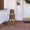 S, variant on Blow Stacked Drums Christmas Decoration, Blow Mold Stacked Drums Decor, Red Green Gold Plastic Holiday Display for Indoor Outdoor Porch Entryway(S)