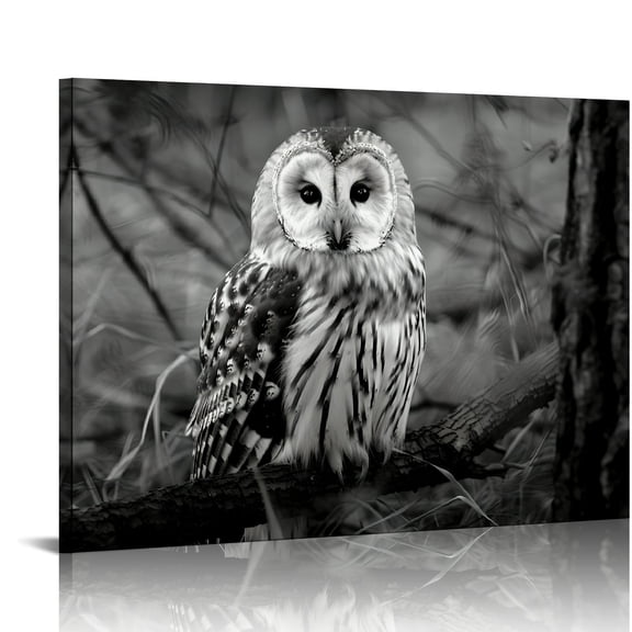 Shiartex Owl Canvas Wall Art Print Home Decor Artwork On Canvas Living Room Bedroom Office Wall Decor 20x16in