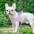thumbnail image 4 of Pet Artist No Pull Pet Dog Harness Soft Padded Front Leading Adjustable Vest with Handle Quick Fit, 4 of 9