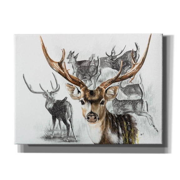 Epic Graffiti 'Axis Deer' by Barbara Keith, Canvas Wall Art, 54"x40"