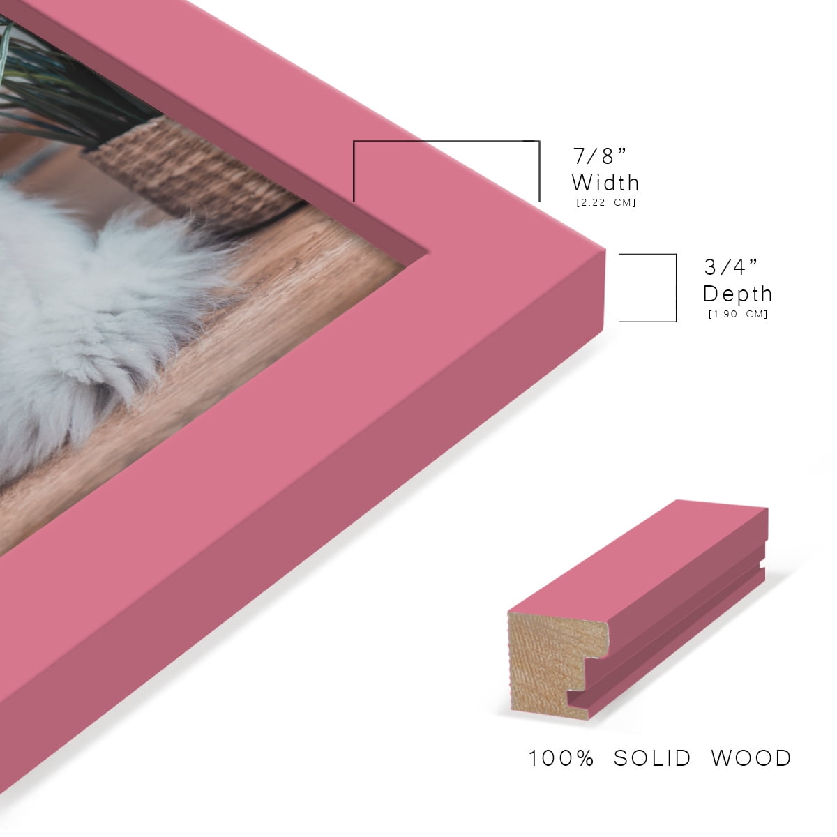 Modern 11 in. x 14 in. Hot Pink Picture Frame (Set of 4)
