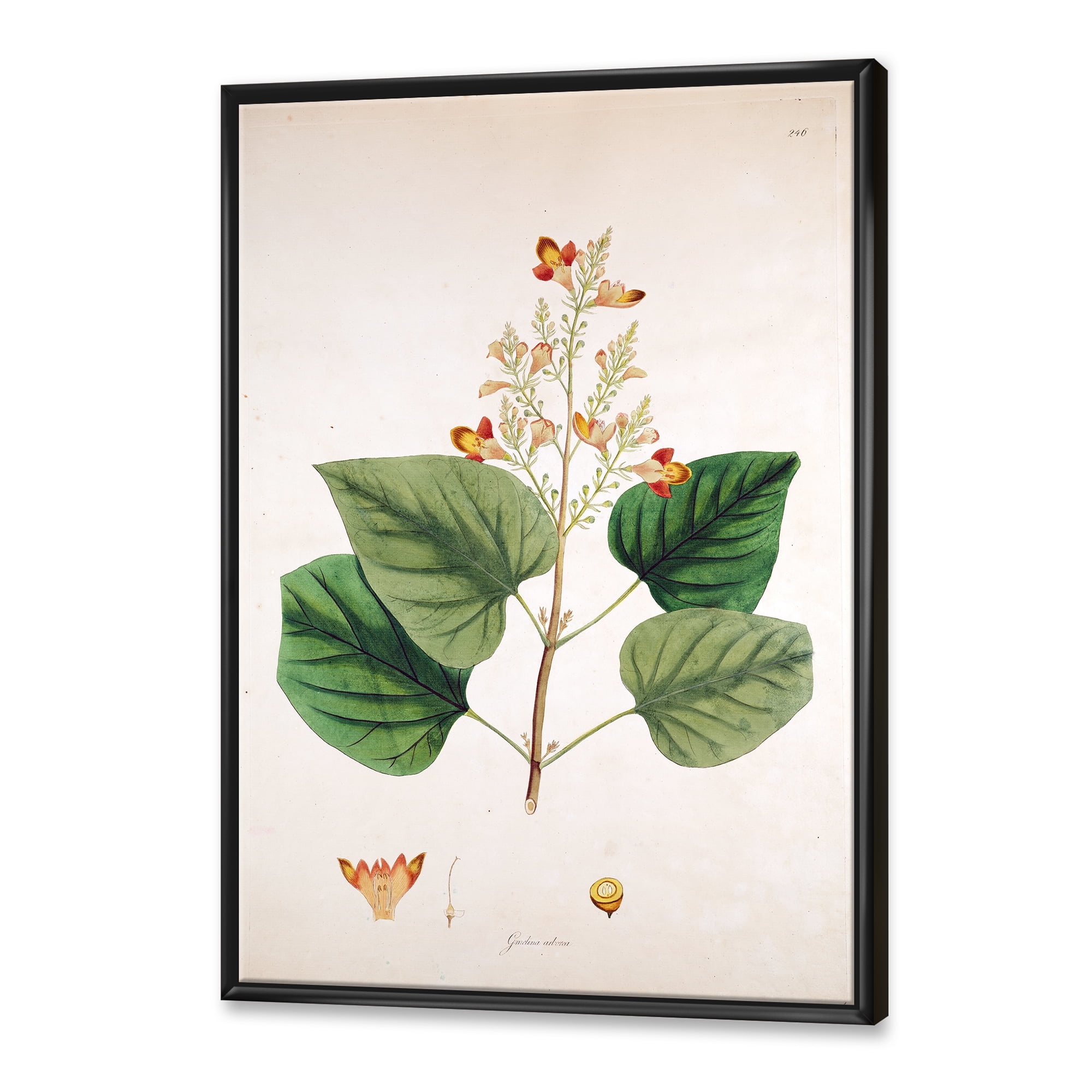 Designart 'Ancient London Plants XII' Farmhouse Framed Canvas Wall Art Print