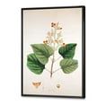 thumbnail image 3 of Designart 'Ancient London Plants XII' Farmhouse Framed Canvas Wall Art Print, 3 of 5