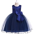 thumbnail image 1 of Vestido de niña Vestido de niña de flores Falda de niña de flores Vestido de malla abullonada Vestido de encaje con lazo Vestidos de bebé, 1 of 5
