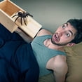thumbnail image 3 of Araña falsa en una caja, regalo de broma para adultos y niños, cajas sorpresa de madera hechas a mano, juguetes de broma para Halloween, 3 of 5